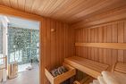  Ferienwohnung Rooftop Garden 7 Olpenitz Ostseeresort Olpenitz - Sauna