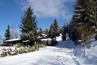  Geräumiges Ferienhaus mit Sauna, Glasfaser und herrlichem Blick in die Berge Hochsauerland - Landschaft