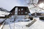 Ferienwohnung, MA-9 Mittlere Aegertenstrasse 9 Lenk im Simmental - Nachbarschaft
