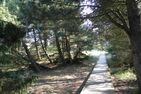 Haus Nordenlicht Ferienwohnung  „Hafenblick" Wittdün auf Amrum - 