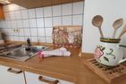 Kresenzerhof Nr. 5 Ferienwohnung Löwenmäulchen (216)  - 