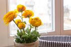  Ferienwohnung an der Salamanderburg Wernigerode - 