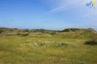  Haus Dünenblick Langeoog - Landschaft
