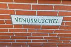  FHVenusmuschel Norddeich - 