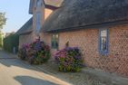  Holm 17  - 