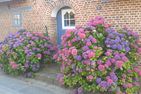  Holm 17  - 