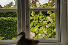  Ferienwohnung Hanneke Wyk auf Föhr - 
