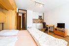 Ferienwohnpark Immenstaad am Bodensee Ein-Zimmer-Apartment 55/16 Bodensee - Living room
