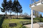  Macoma Baltica  - Garten