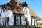  Ferienhaus Schilfrohrsänger 21-Teichperle- Fuhlendorf - 