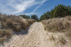  Ferienwohunung Dünenwald Trassenheide - Strand
