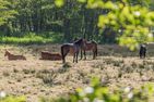 Green Village Seelenwind Benz - Landschaft