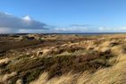  Ferienwohnung Reethüüs Keitum auf Sylt  - Landschaft