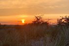  Ferienhaus "Sunset Seaview I" Marina Wendtorf Marina Wendtorf - Strand