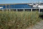  Ferienwohnung „Seemannsgarn“ Marina Wendtorf Marina Wendtorf - Strand