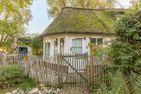 Kastanienhof Holunder Wisch - 