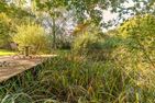 Kastanienhof Sanddorn Wisch - 