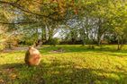 Kastanienhof Sanddorn Wisch - 