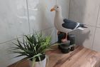  Ferienwohnung T24 Graal-Müritz - Dekoratives Detail