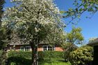  Ferienhaus Niels Hus Dagebüll Dagebüll - Garten