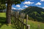  Gilferthütte | Tuxer Alpen | Tirol Nordtirol - Gartenblick