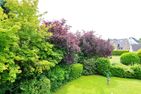 Haus Wendt Haus Wendt Appartement 02 Timmendorfer Strand - Garten