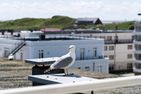  Penthouse F23 Westerland - Terrasse