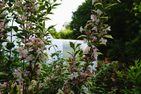  Bubbletent Sternenblick Hamburg Nord-Ost - 