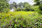  Bubbletent Sternenblick Hamburg Nord-Ost - 