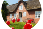  Ferienhaus auf der kleinen Gaarde Ockholm Dagebüll - Dekoratives Detail