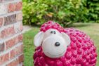  Traumhaus unter Reet Utersum - Dekoratives Detail