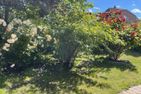  Ferienhaus Nils Holgersson Schönberg-Kalifornien Kieler Förde - Garten