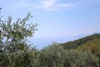  Casa Beatrice Ventimiglia - 