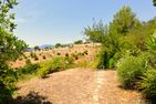  Casa Beatrice Ventimiglia - 