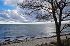  Ferienwohnung "Austernfischer" Marina Wendtorf Kieler Förde - Strand