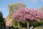 App. 21 Lütt Stuuv Westerland - 