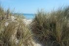  Ferienwohnung Nordstern - Schönberger Strand Kieler Förde - Strand