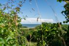  Haus Sundermann List - Meerblick