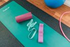 Villa Westküste Alkersum - Fitness