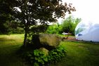  Bubbletent Sternennacht Hamburg Nord-Ost - 