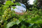  Bubbletent Sternennacht Hamburg Nord-Ost - 