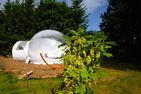  Bubbletent Sternennacht Hamburg Nord-Ost - 