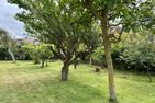  Kampstraße Whg. 2a Westerland - Garten