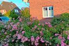  Ferienwohnung Rosenwall Schönberger Strand Kieler Förde - Landschaft