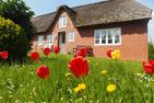  Ferienhaus auf der kleinen Gaarde Ockholm Dagebüll - Hauptansicht