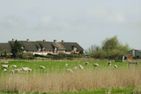  Ferienhaus auf der kleinen Gaarde Ockholm Dagebüll - Landschaft