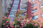 Haus Nordseebrandung NA17 Cuxhaven Sahlenburg - Balkon