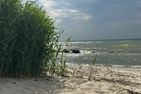  Haus "Wiesenblick" Ostseebad Thiessow - Strand