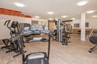  Ferienwohnung Haffkoje Fitness, Sauna und Kinderspielbereich Zirchow An der Haffküste - Fitness