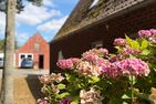  Ferienhaus Dorfhotel Wattwurm Ostfriesland - Hauptansicht